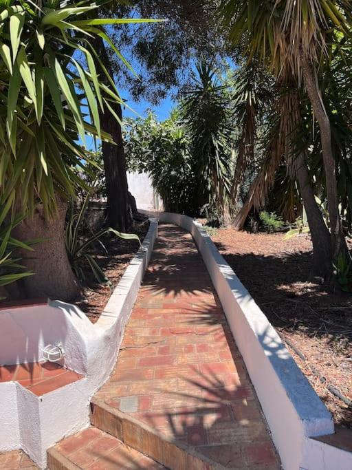 Beautiful Private Villa With Pool, Boliqueime, Loule Bagian luar foto
