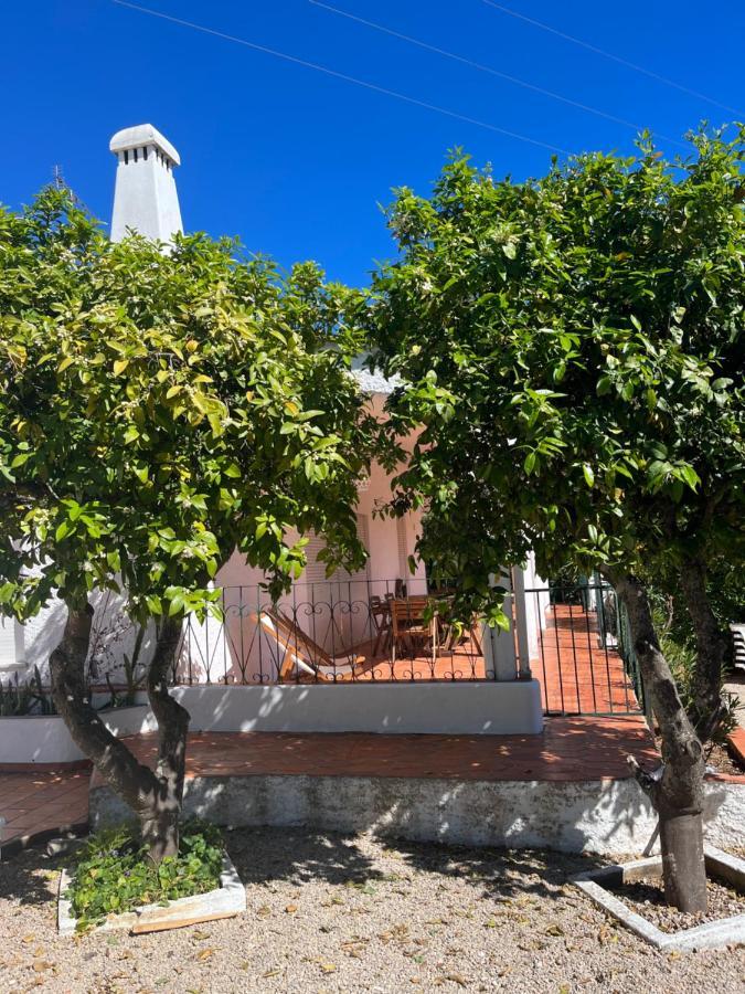 Beautiful Private Villa With Pool, Boliqueime, Loule Bagian luar foto
